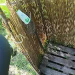 Riverside Bliss Idyllic Camp, 3 Man Tent Incl, Near Tvedestrand And Arendal * Vegårshei