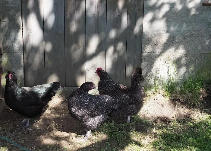 Riverside Bliss Idyllic Camp, 3 Man Tent Incl, Near Tvedestrand And Arendal 豪华帐篷 *